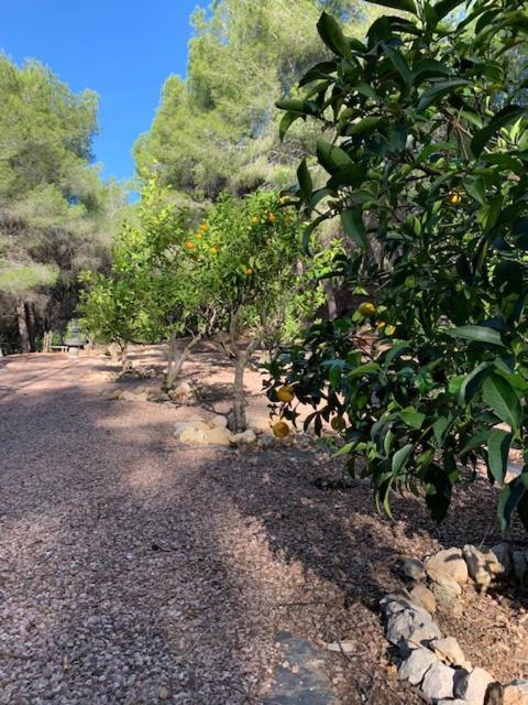 Casa Orient Villa Altea Dış mekan fotoğraf